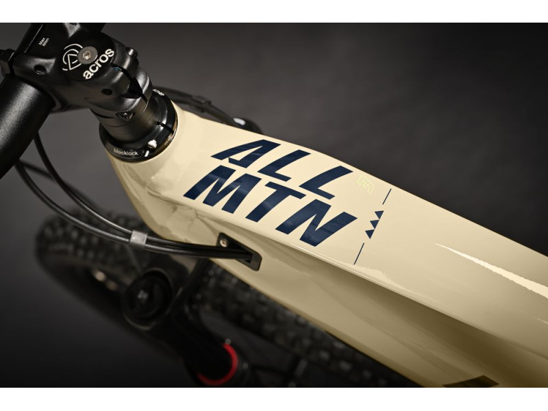 Horské elektrokolo Haibike AllMtn 3