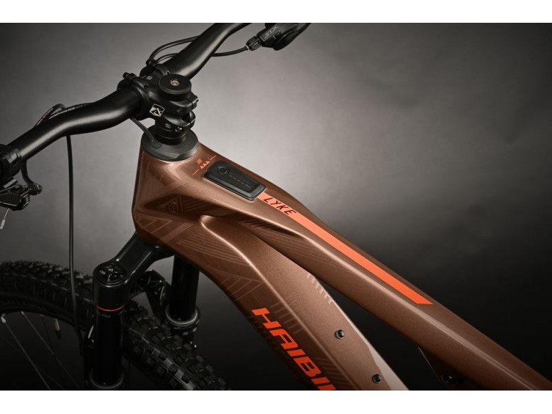 Horské elektrokolo Haibike LYKE CF 10