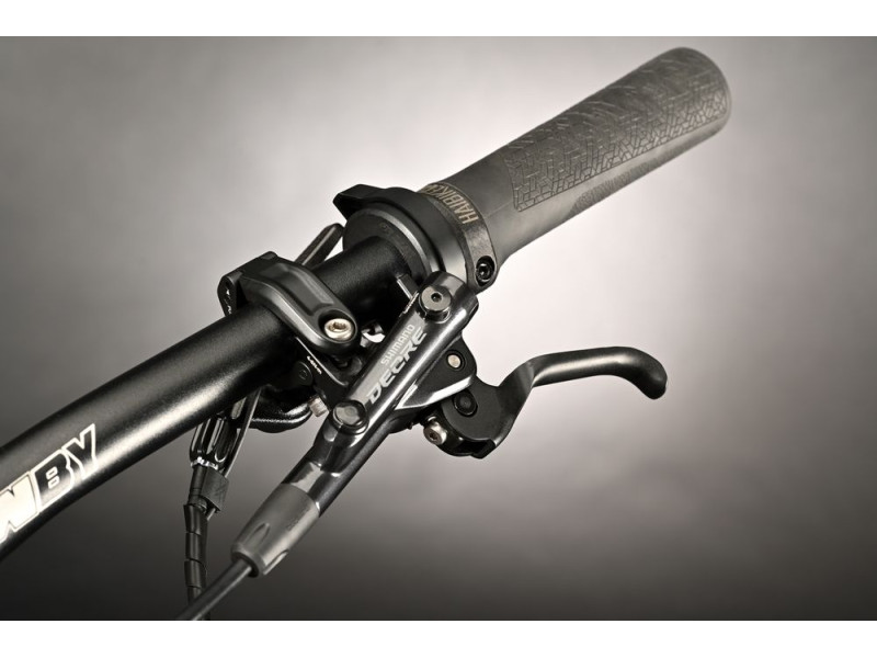 Horské elektrokolo Haibike LYKE CF 10