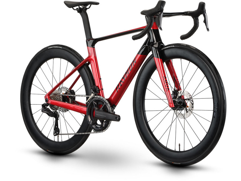 Silniční kolo Raymon Arva Ultra