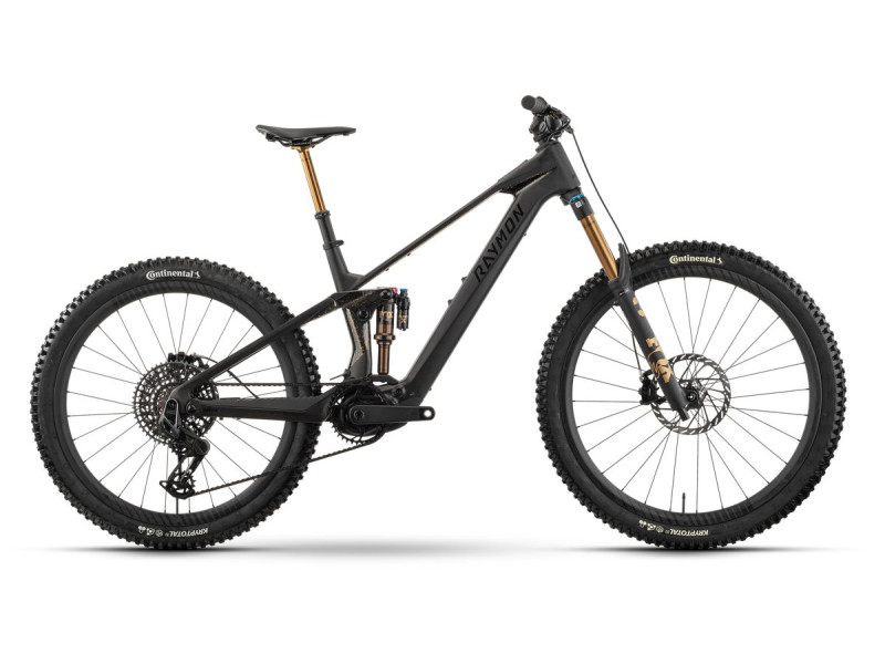 Horské elektrokolo Raymon Tarok Ultimate | 2027, carbon stealth, L