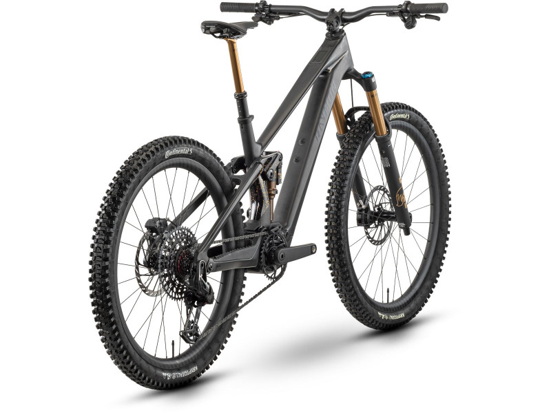Horské elektrokolo Raymon Tarok Ultimate | 2027, carbon stealth, L