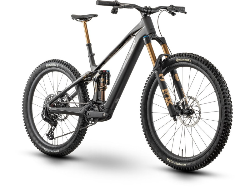 Horské elektrokolo Raymon Tarok Ultimate | 2027, carbon stealth, L