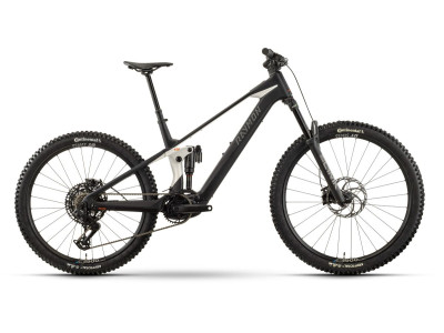 Horské elektrokolo Raymon Tarok Ultra | black / white