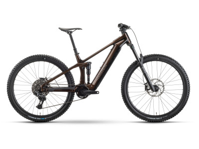 Horské elektrokolo Raymon Durok Pro | toffeebrown
