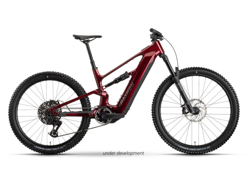Horské elektrokolo Raymon Ravor Pro | 2026, XL